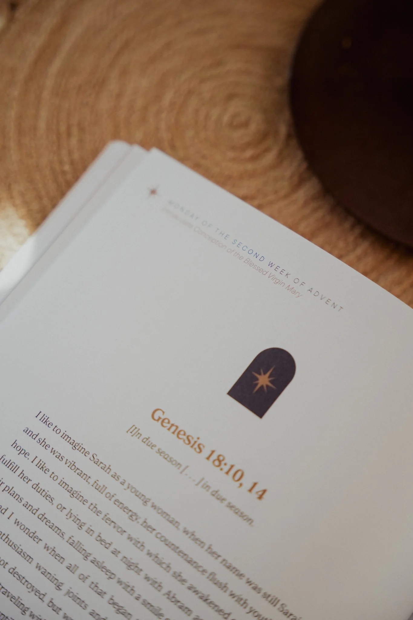 A Thrill of Hope: Advent Devotional for Catholic Women - Image 7