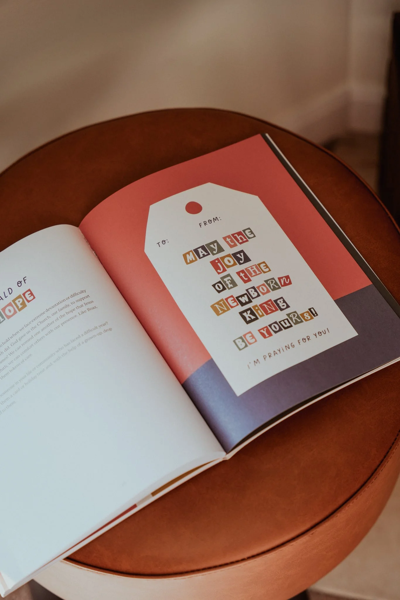 A Thrill of Hope: Advent Devotional for Kids - Image 8
