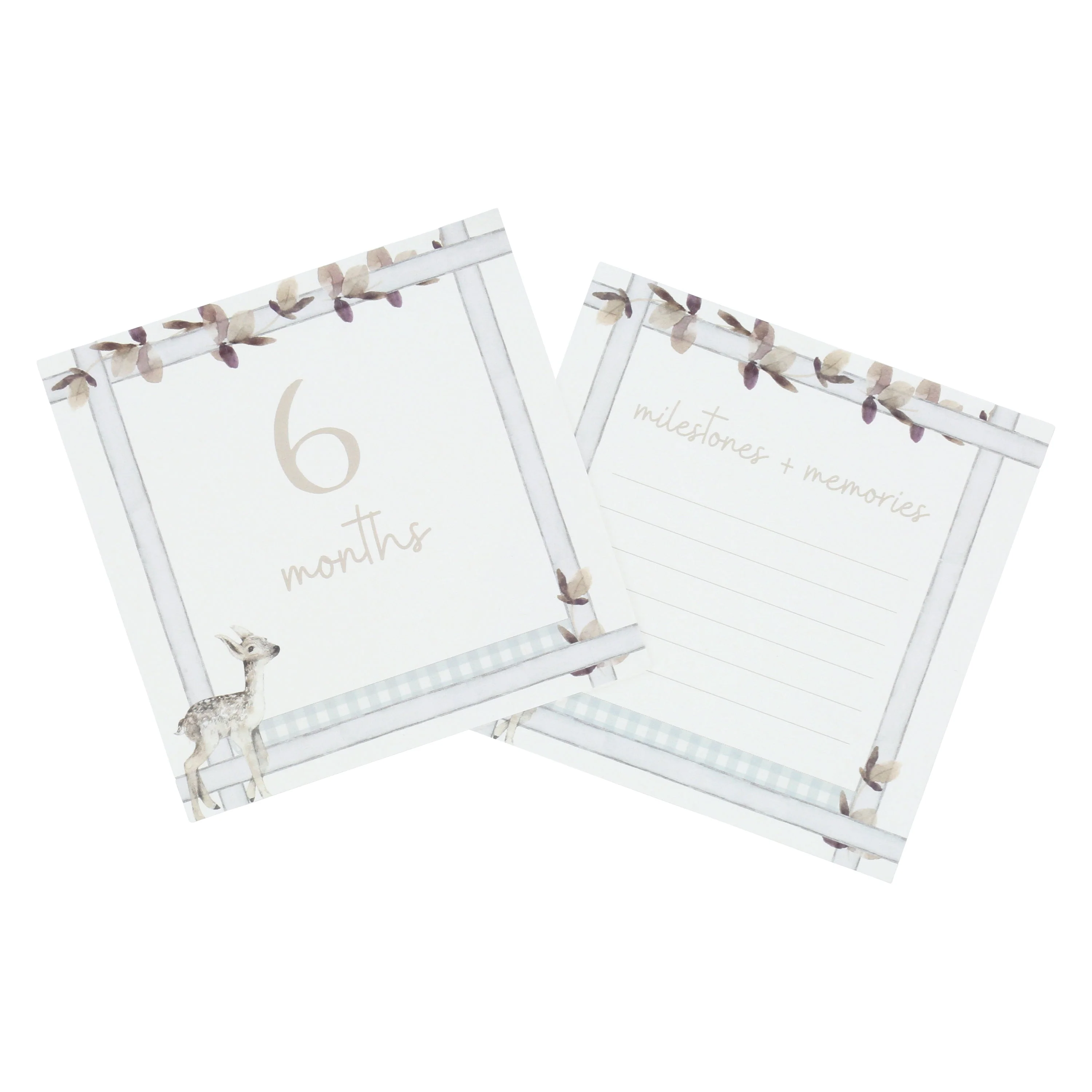 Infant Milestone + Memory Cards (0-12 months)